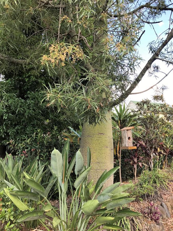 The Canungra Motel 外观 照片
